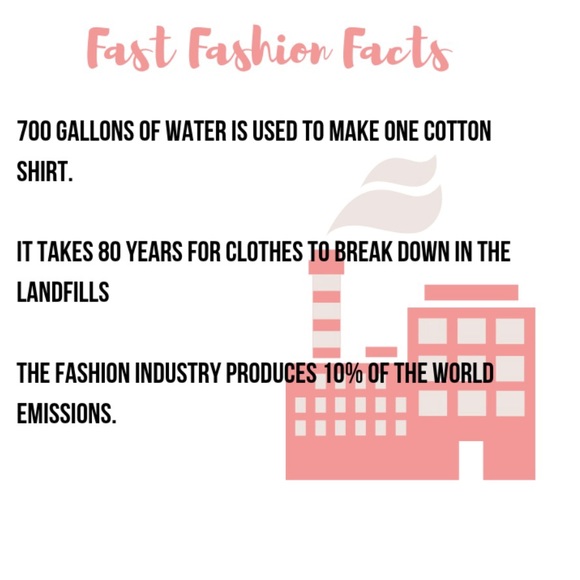 Meet your Posher, Holly - Picture 3 of 3